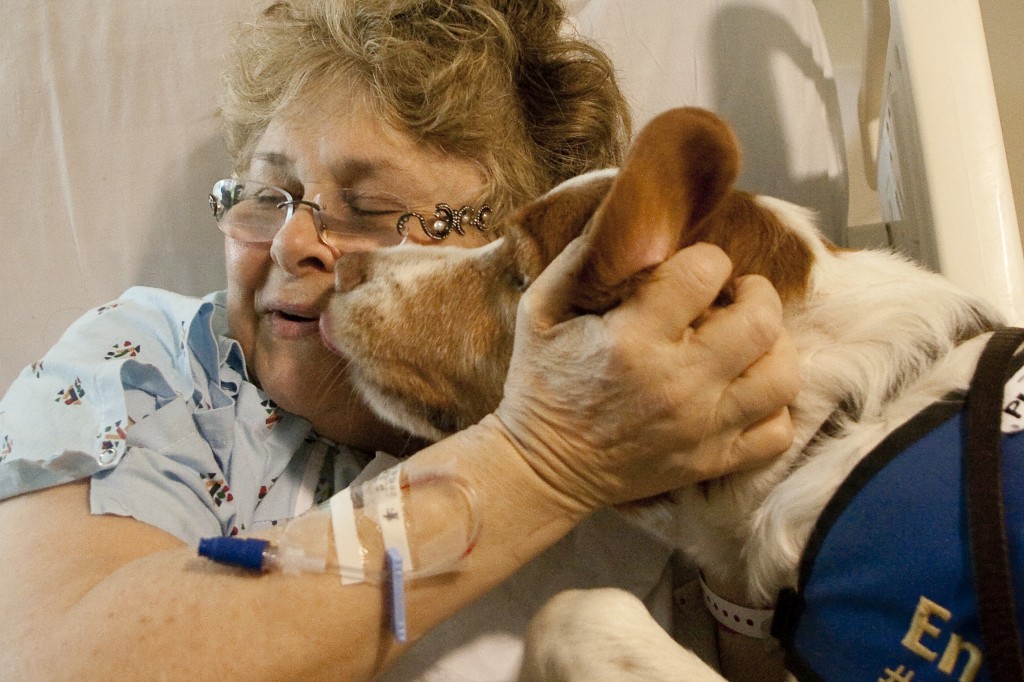 Different Names For Therapy Dog